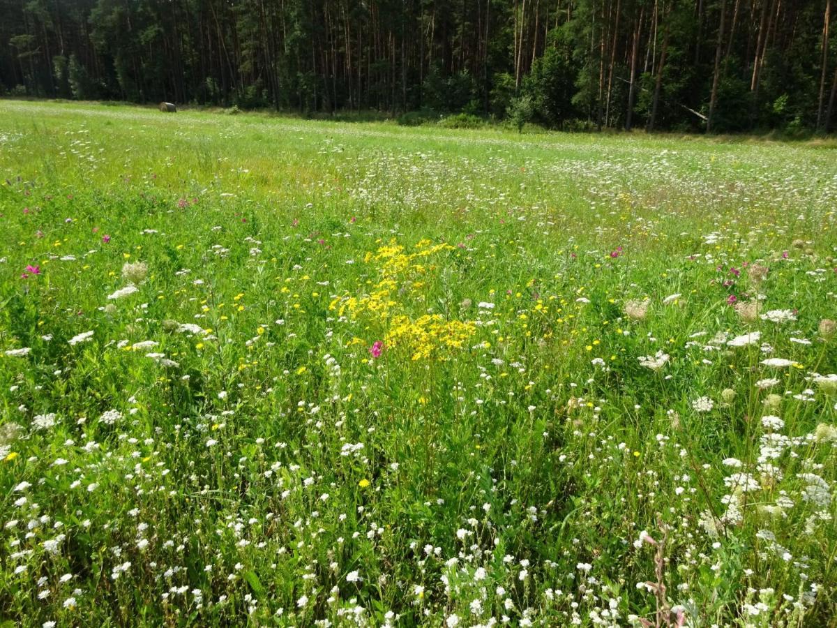 Ferienanlage Waschbaer Country تيمبلين المظهر الخارجي الصورة